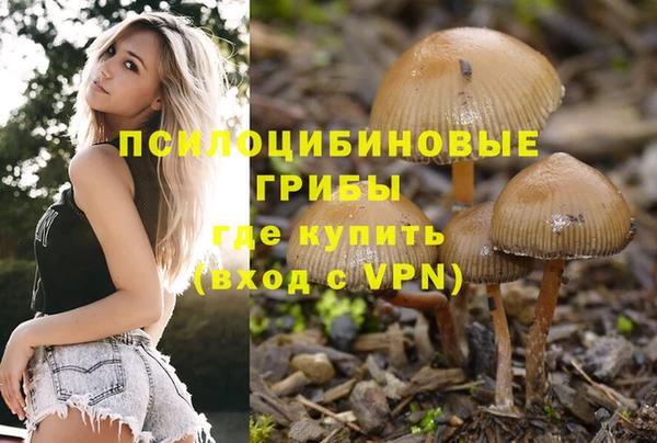 молекула духа Инта