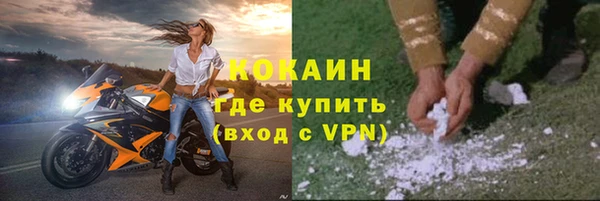 молекула духа Инта