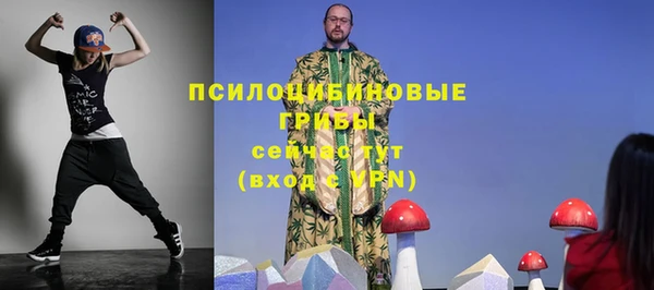 твердый Каменка