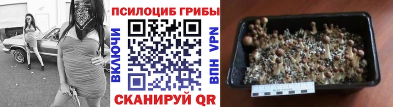 Псилоцибиновые грибы мухоморы  Владикавказ 
