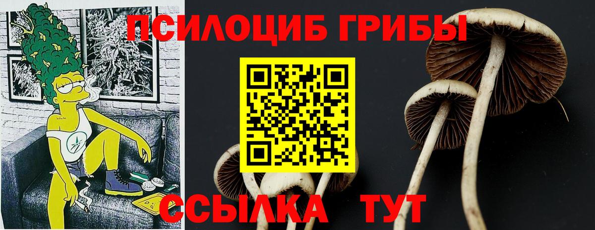 Галлюциногенные грибы мицелий Владикавказ