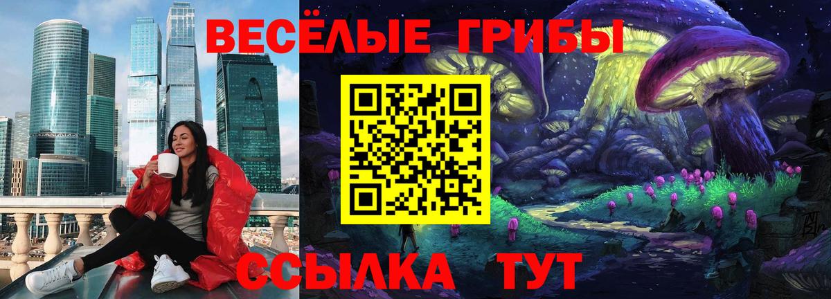 Псилоцибиновые грибы мицелий  дарнет шоп  Владикавказ 