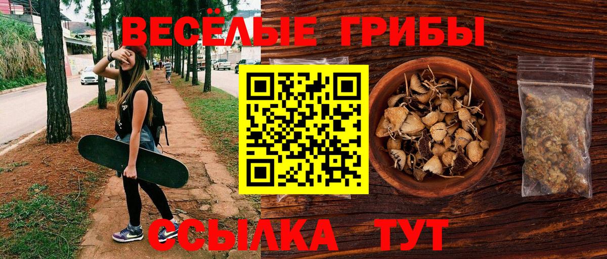 Владикавказ  Псилоцибиновые грибы мицелий  Вход с VPN  Галлюциногенные грибы GOLDEN TEACHER 
